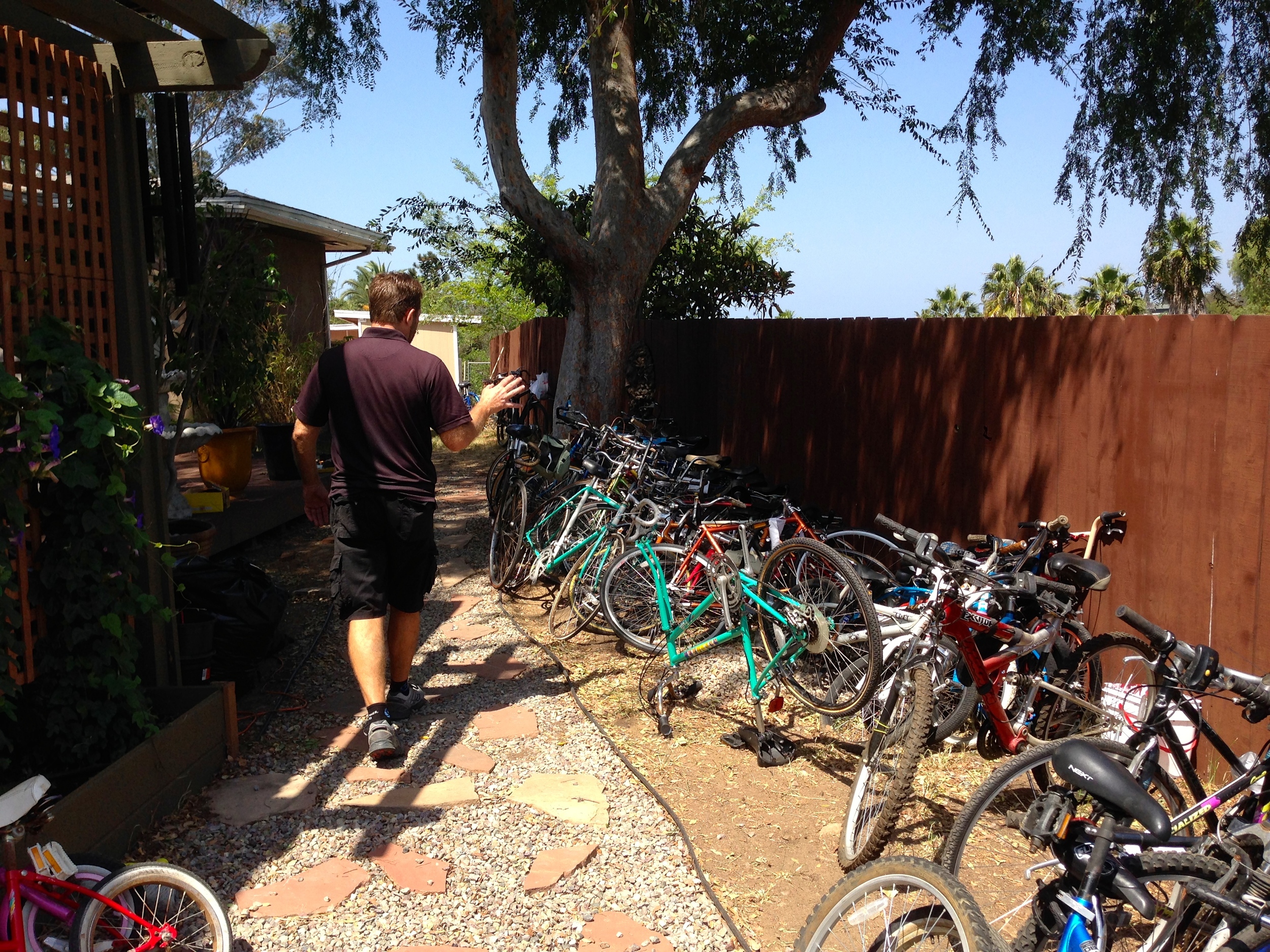 the bicycle warehouse