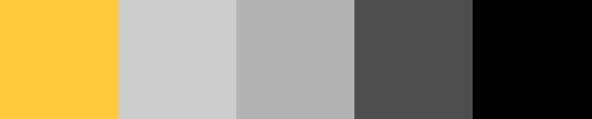 Photographer-Trends-Examples-Color-2.png