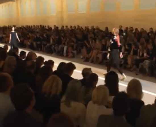 fendi_ss2015_thumb.jpg