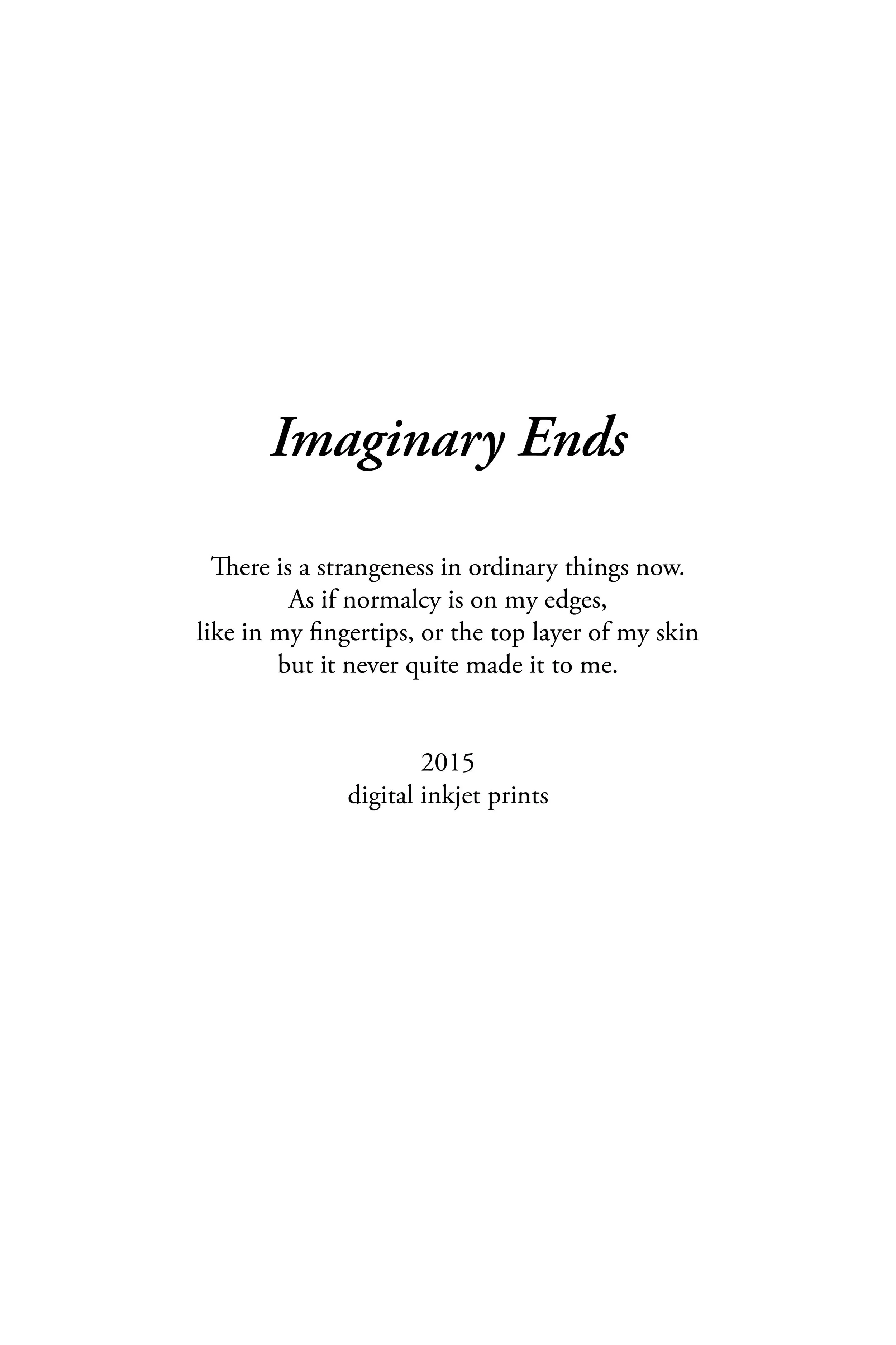 imaginary ends artist statement 11x16.5.jpg