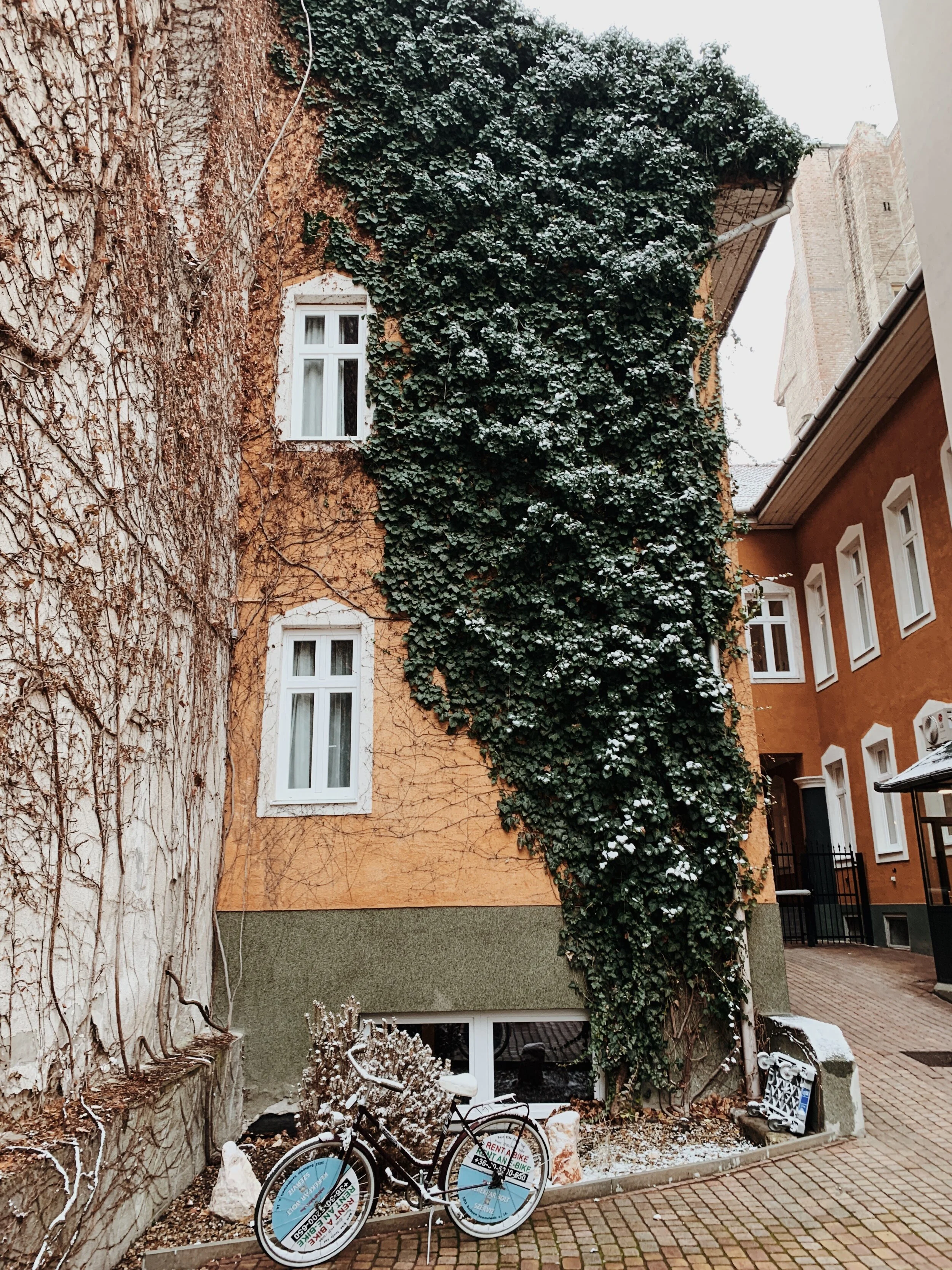 B03F2305-DD08-42A6-8BEC-2C1E9B8B1C10.JPG