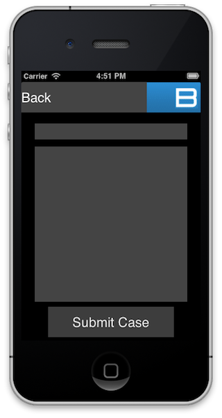 Case Open View.png