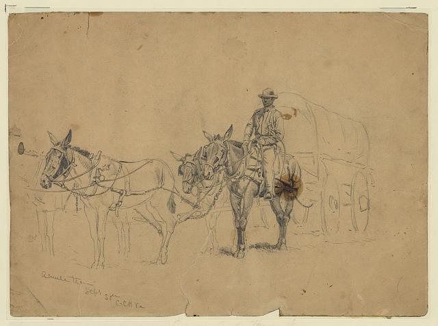Edwin Forbes, Study of a mule team and wagon, with driver (September 30, 1863). Library of Congress.