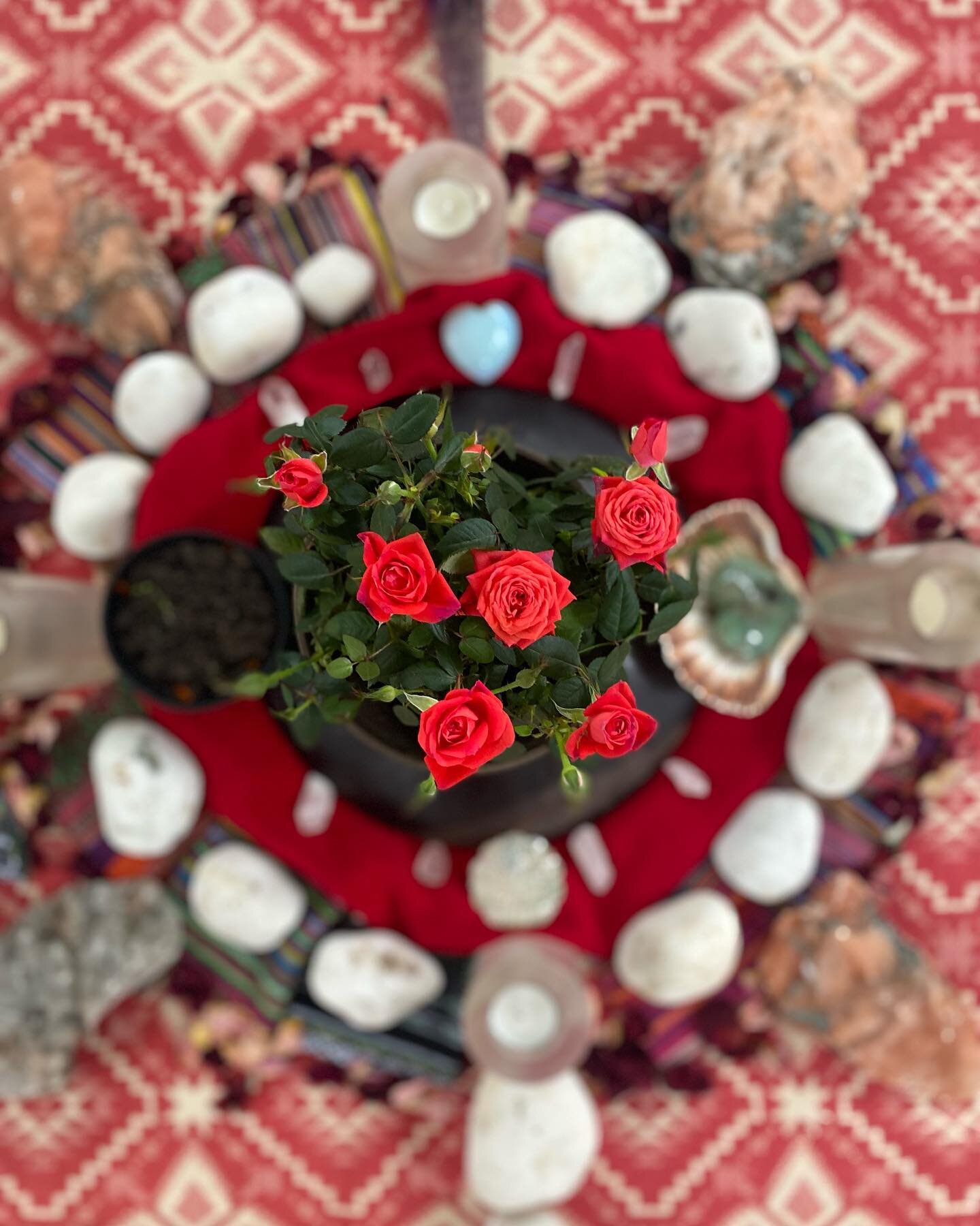 What an honour &amp; a joy to share the medicine of the Moon Time initiation with Mumas &amp; daughter yesterday ! 

Blew my heart wide open to witness the willingness &amp; need for people to sit in sacred circle together &amp; feel held in love. 

