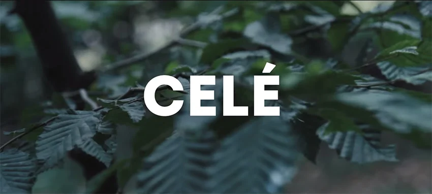 Frenchie - Cele Feat. Naira Marley