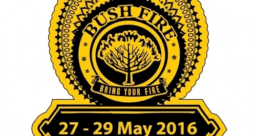 EVENT: MTN Bushfire Announces 2016 Lineup