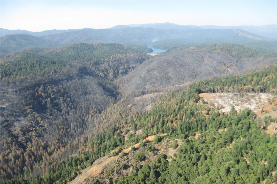 Bagley Fire Area. McCloud Reservoir in background. - U.S.Forest Service photo 
