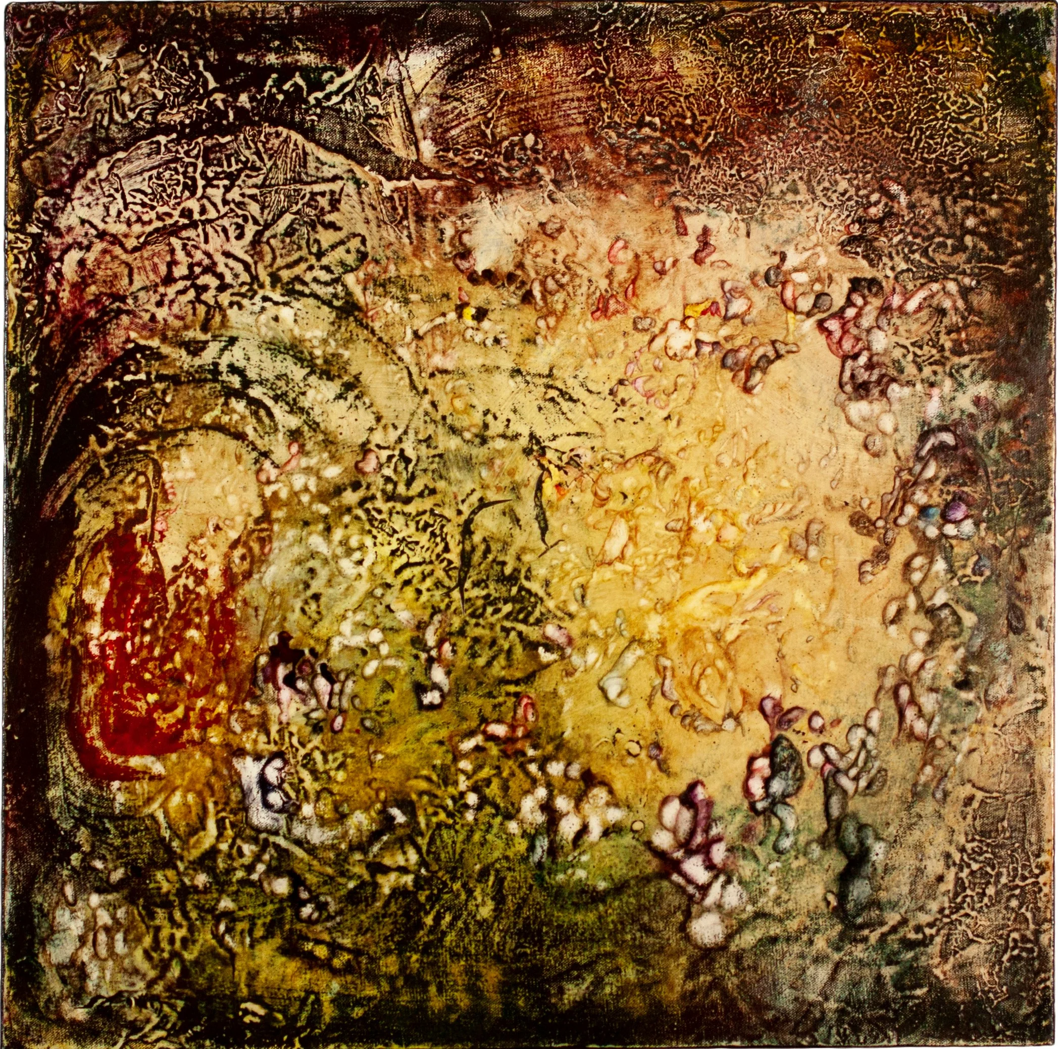 "Terra Incognita"