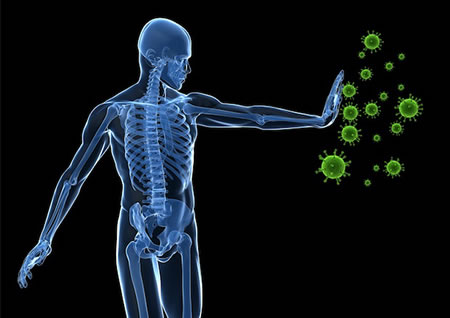 Spinal Problems Affect Immune System