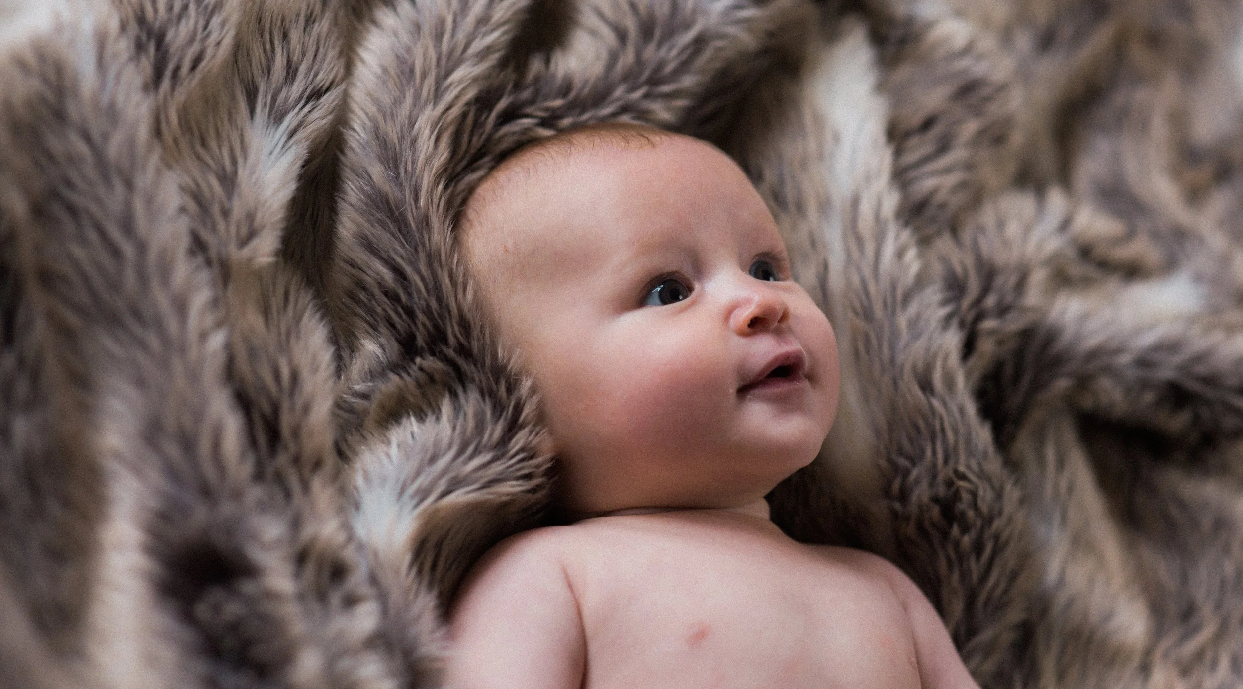  baby photography services in London 