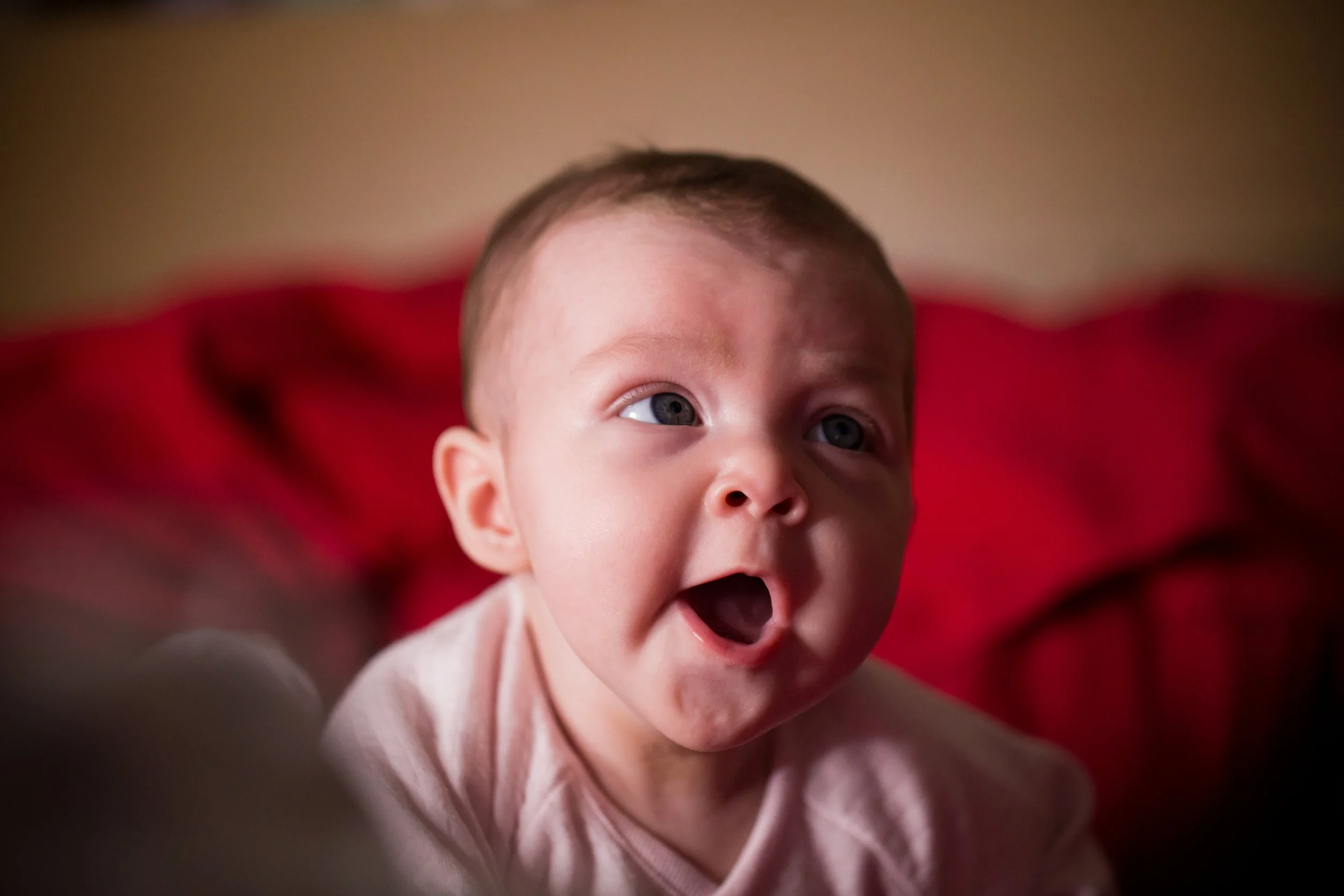  cute baby photography services 