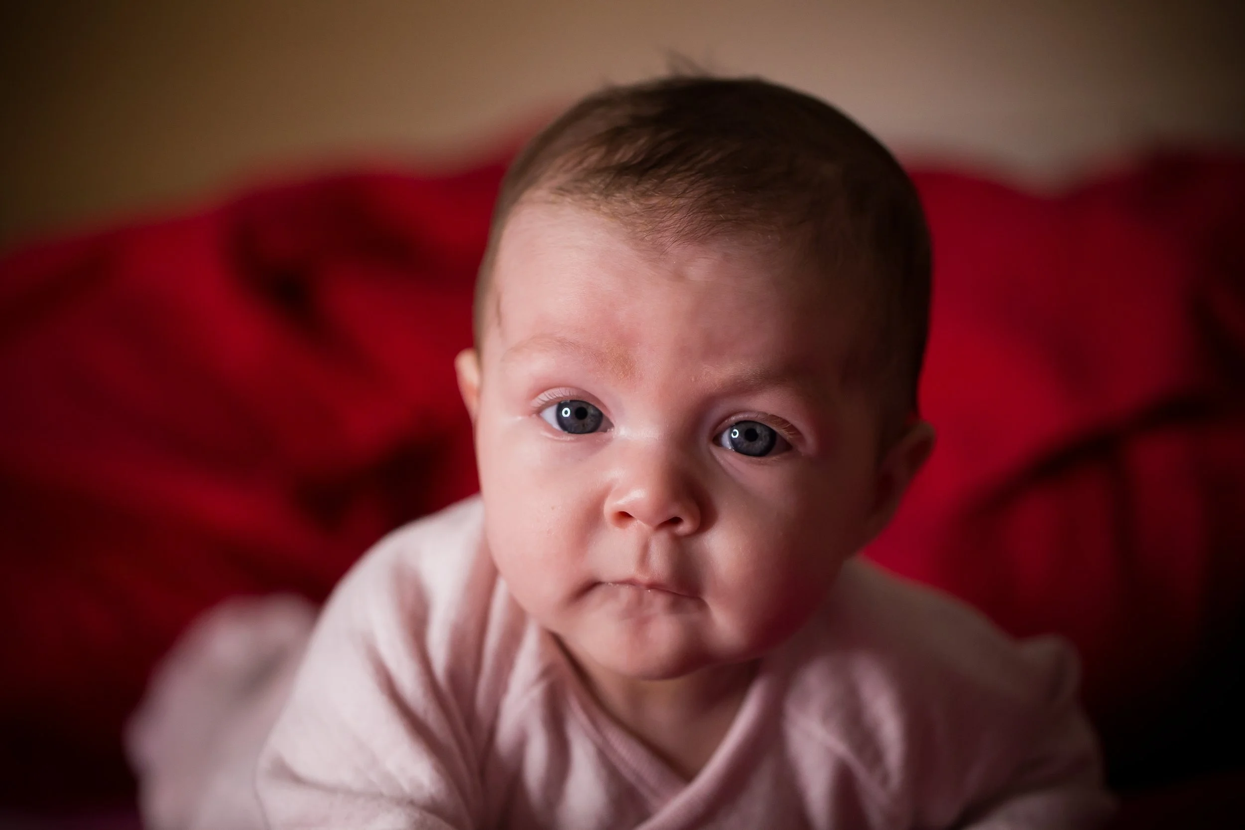  best baby photography services 