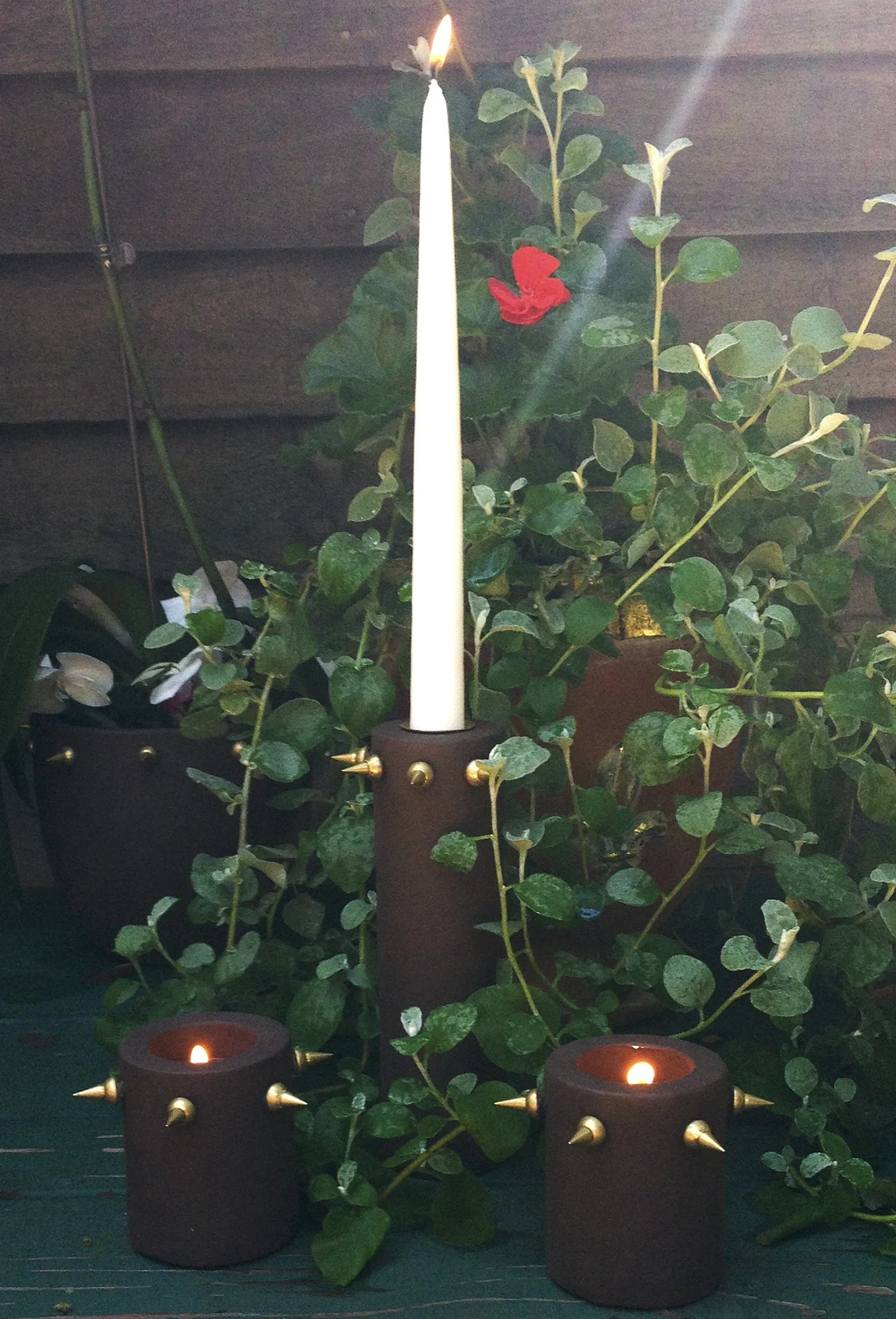 Tyramin Succulent Collection candles 5.jpg