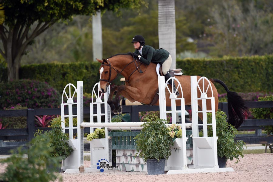 Nicole Privitera and Koala WEF 2015