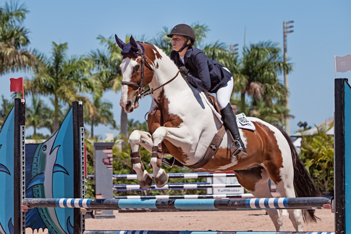 Pim and Amanda Cordingley WEF 2015