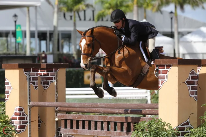 Michael Zukerman and Koala WEF 2015