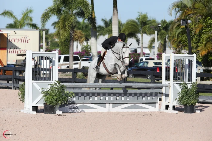 Michael Zukerman and Goldplay WEF 2015