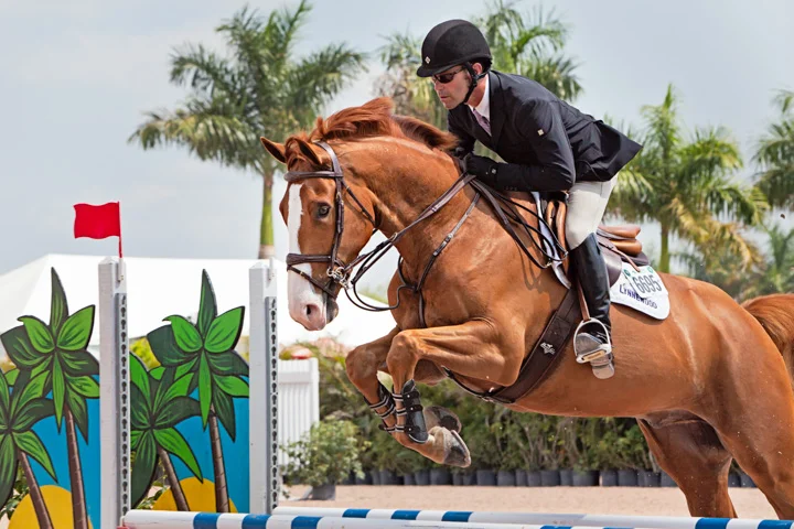 Michael Zukerman and Krug Z WEF 2015