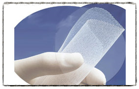  Click here for MESH UPDATES. 