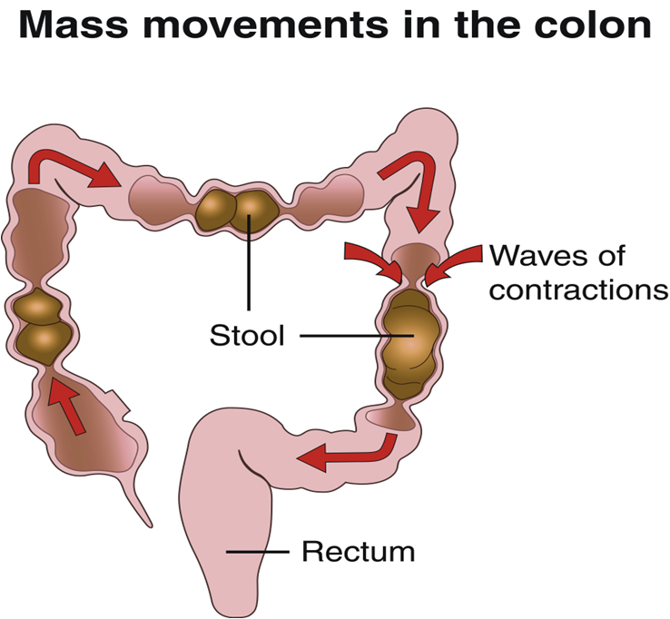 bowel movements.png