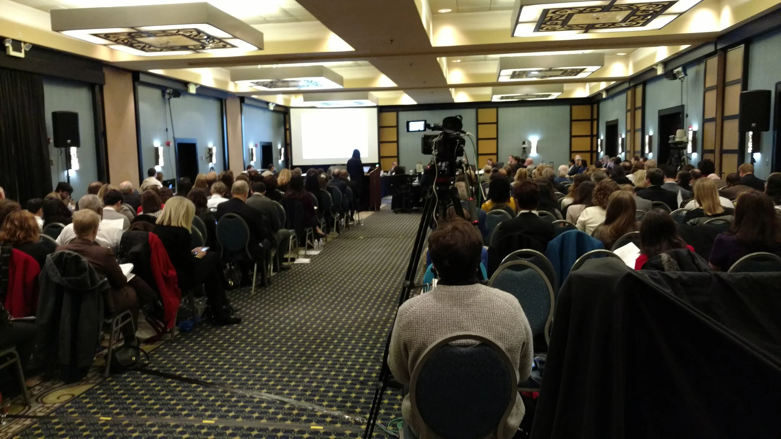 FDA Obstetrics and Gynecology Devices Panel Meeting, February 12, 2019.