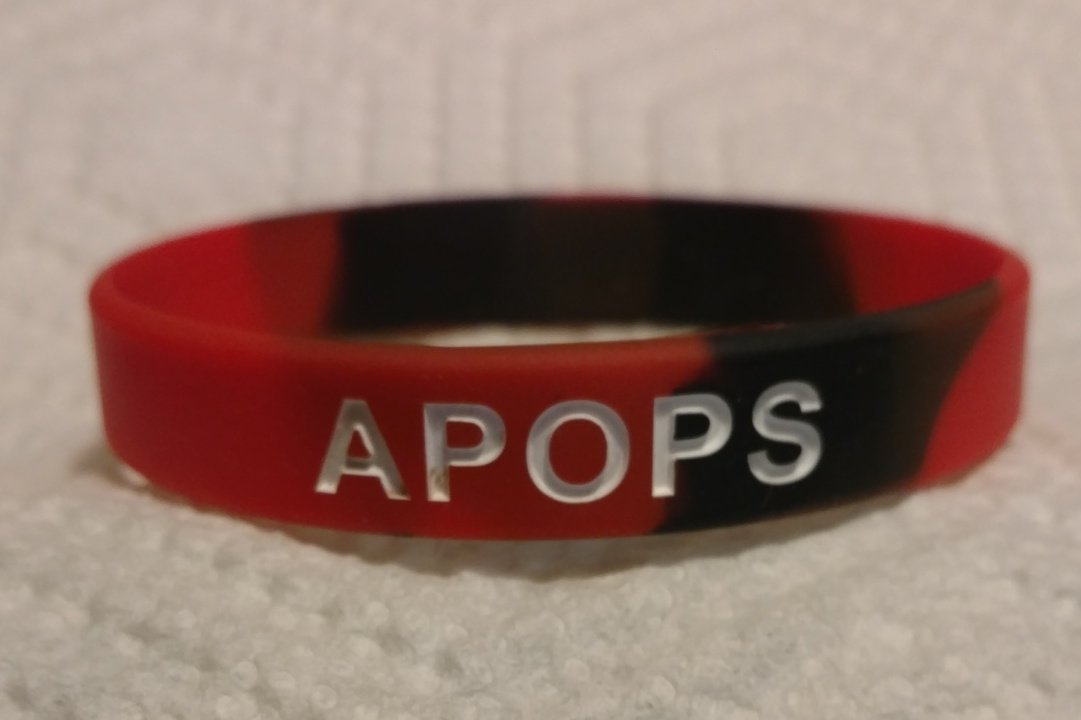 wristband single cropped.jpg