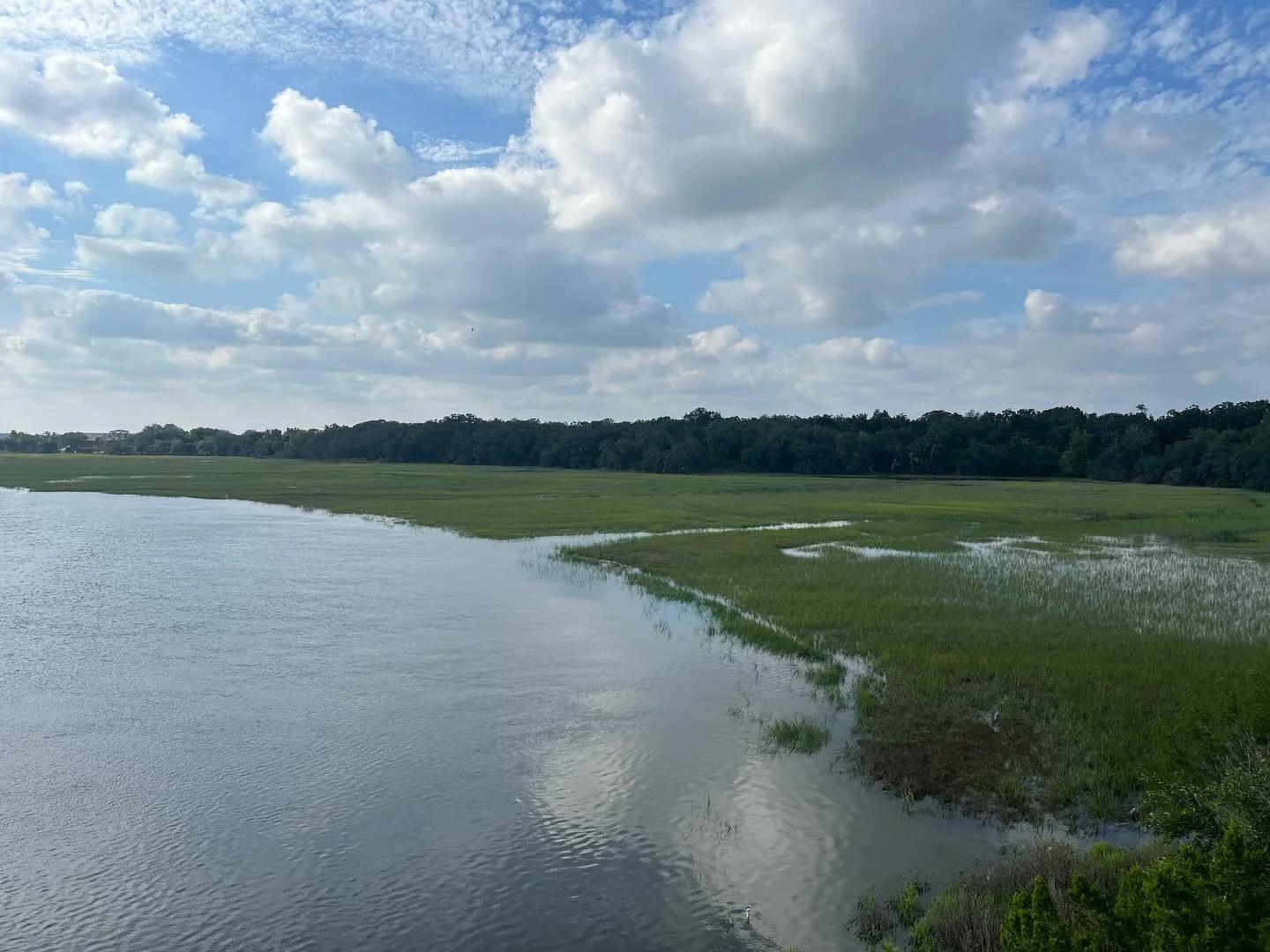 Amelia Island is amazing. I&rsquo;ve seen snakes, alligators, sharks, manatees, cars, ice cream, and birds. It&rsquo;s actually beautiful. I run by this place every day.