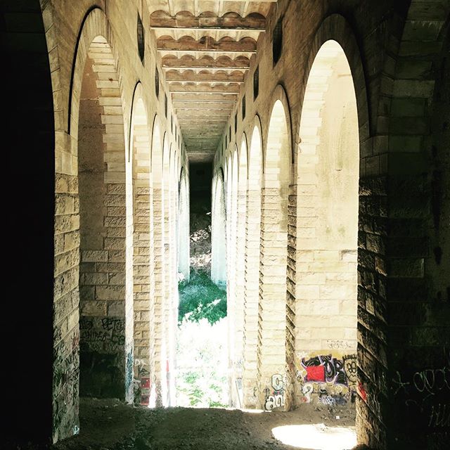 Beauty under the Henry Ave bridge