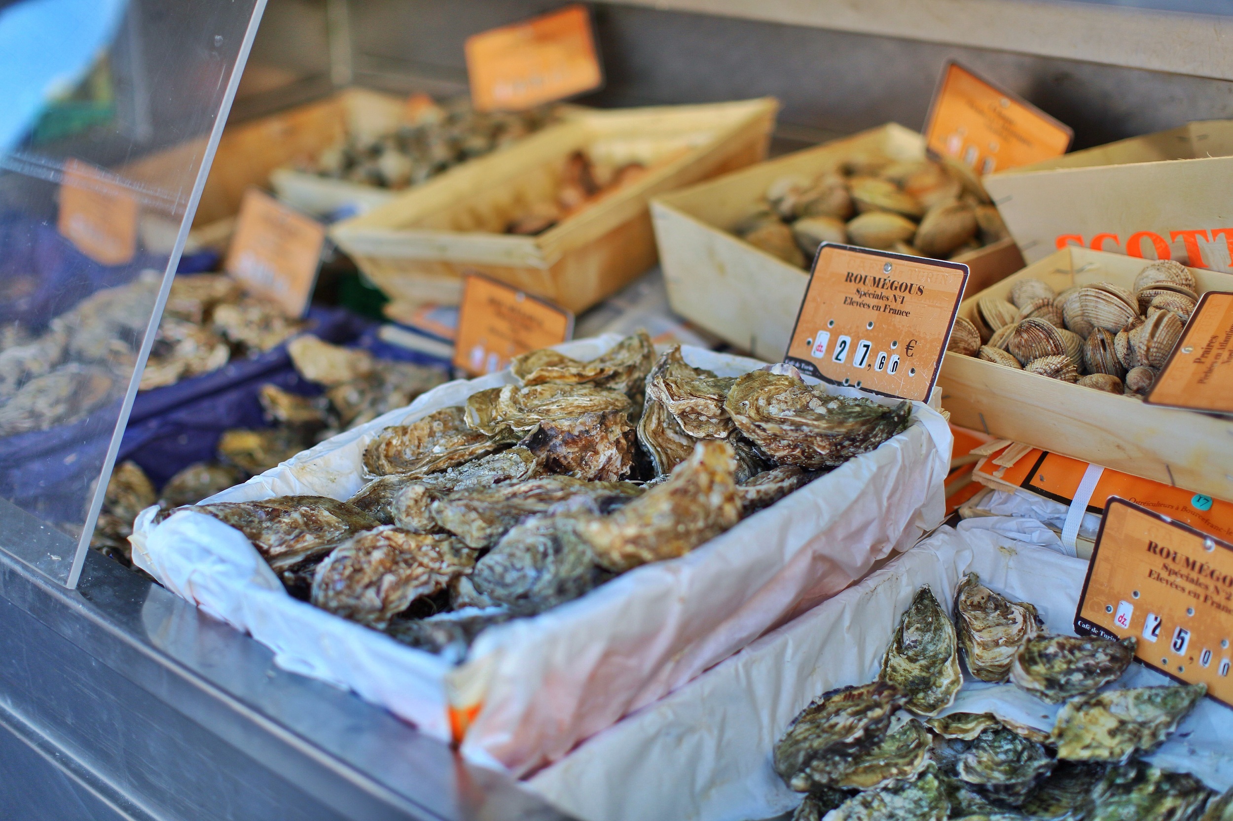 This seafood shop was right next to the restaurant where we met our new German friend Olof, who gave us tips on not going to Istanbul... Ever