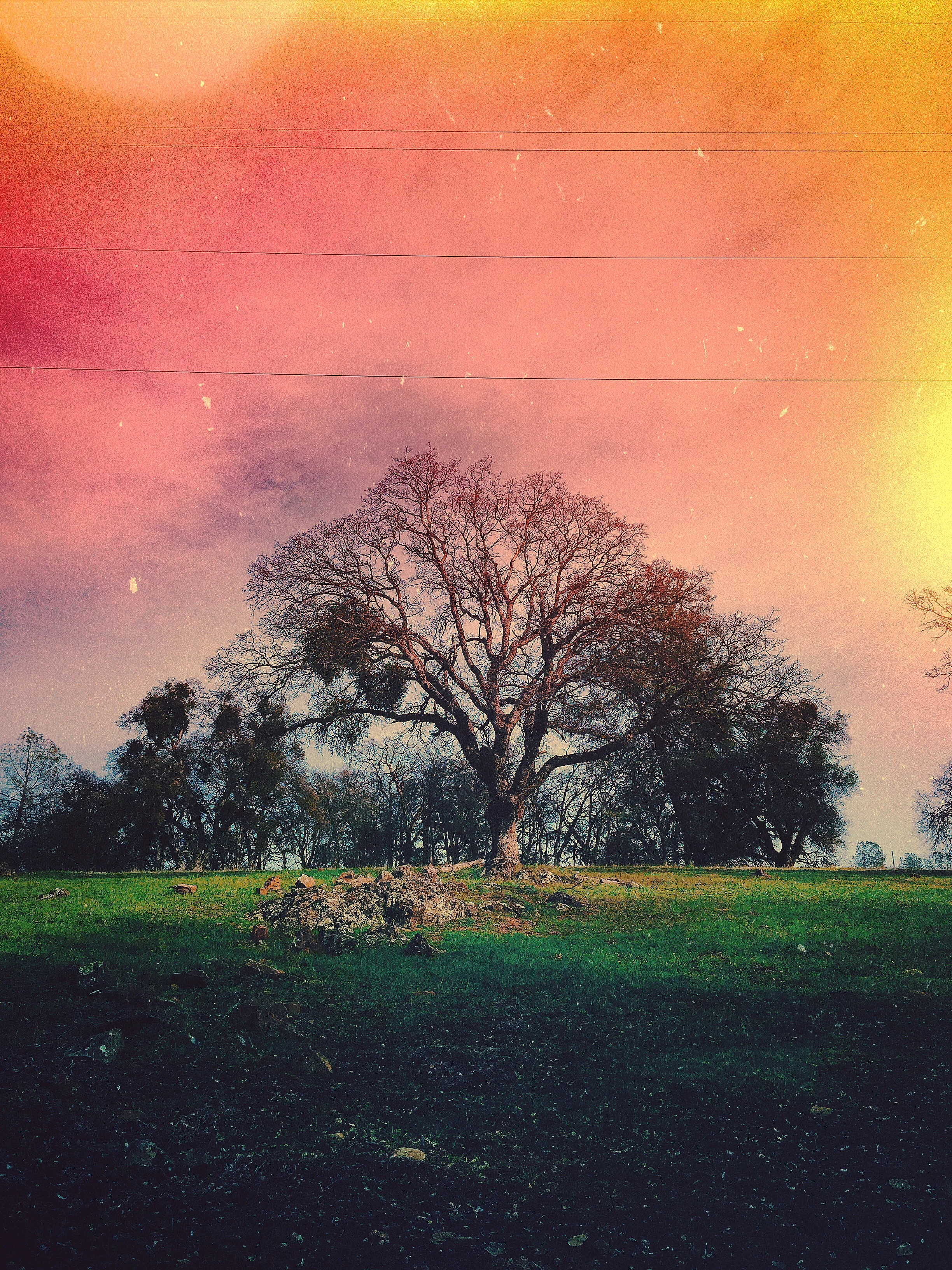 An Afternoon With The City Shaman