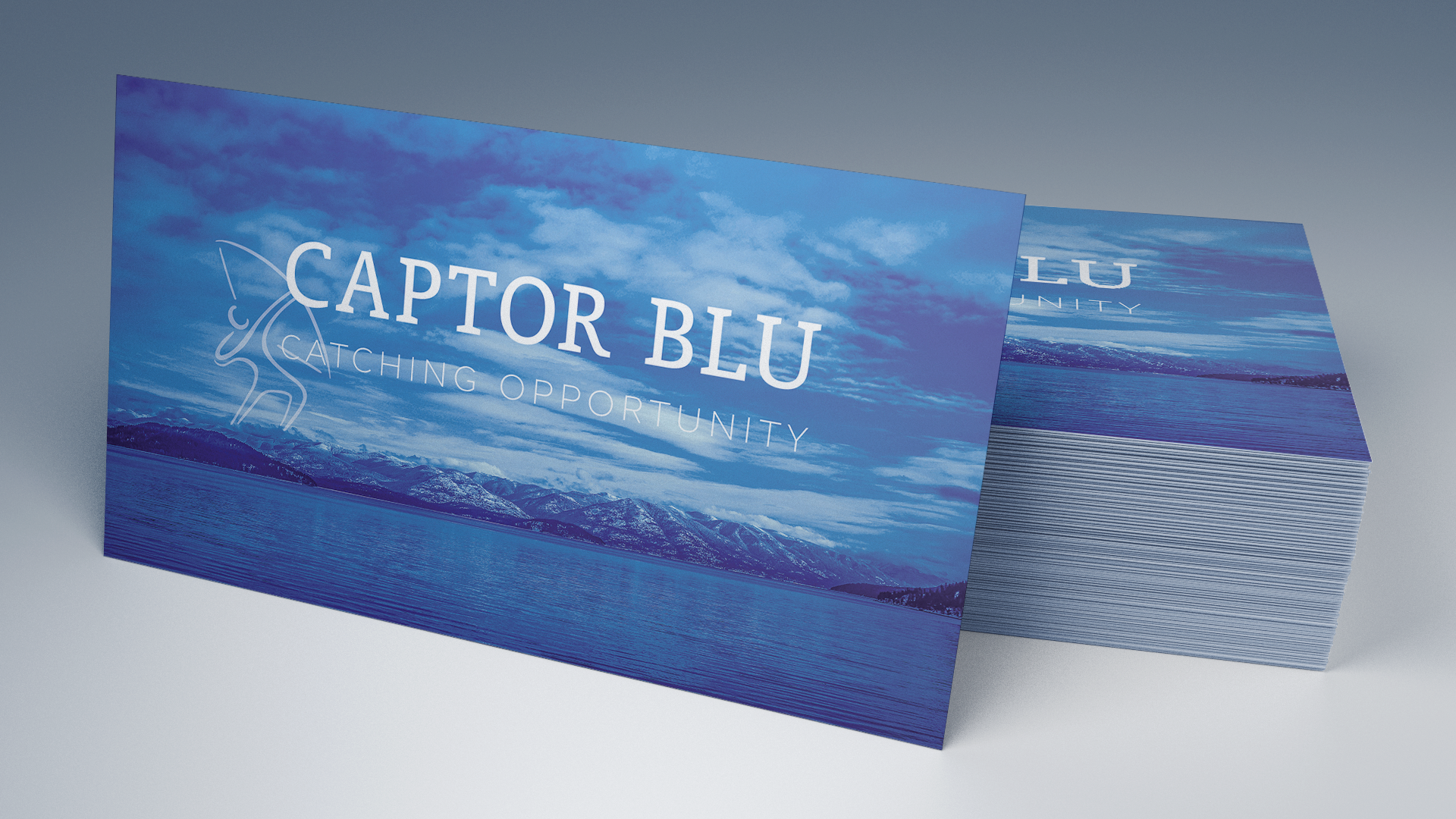 Business_Card_90x50_2-1.png
