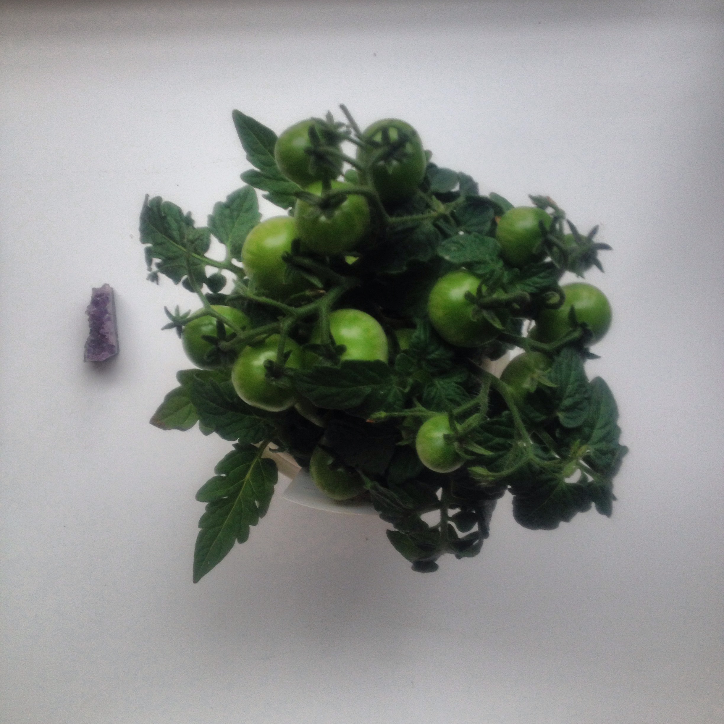 Offered the 'spirits' in my live work-studio a bit of green and an amethyst as an offering. Also placed salt at the entrance…yes, I'm a bit of a witch. 