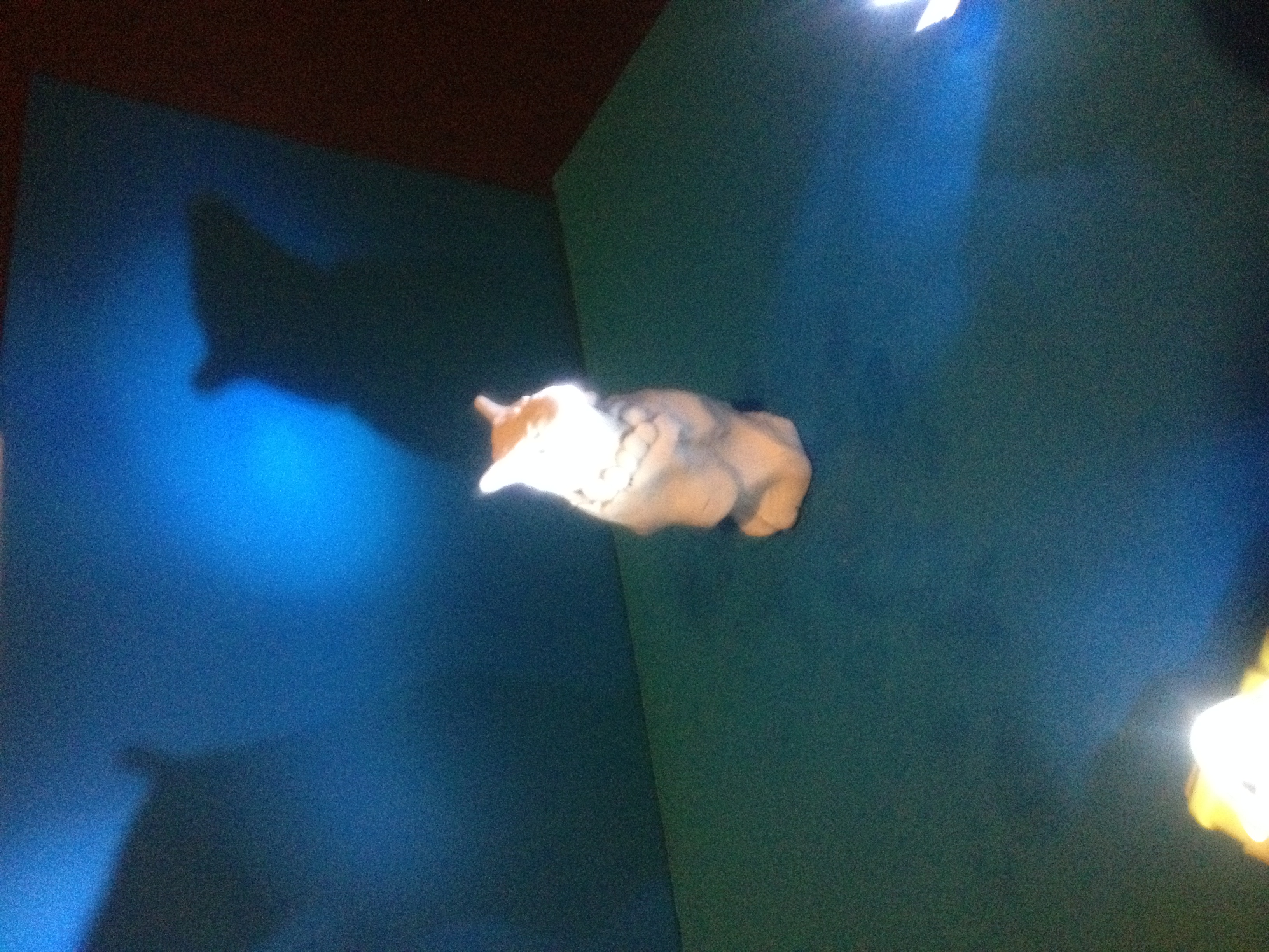 The fox lady animation in production. 