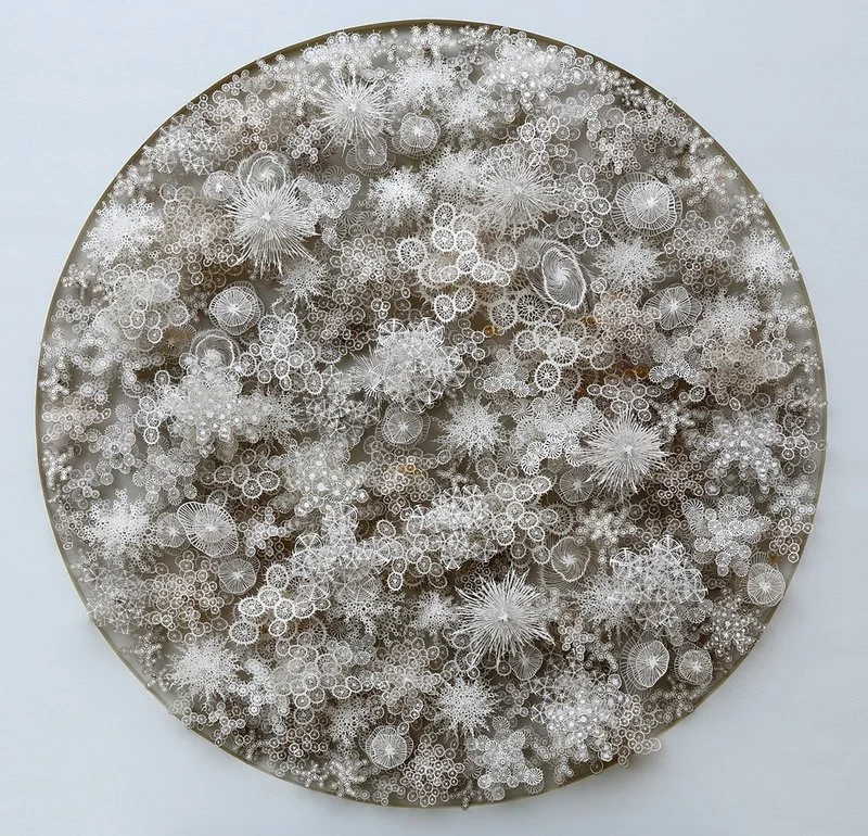 Via NPR: "Is This A Snowy Wonderland Or The World Inside A Petri Dish?" & courtesy of Rogan Brown
