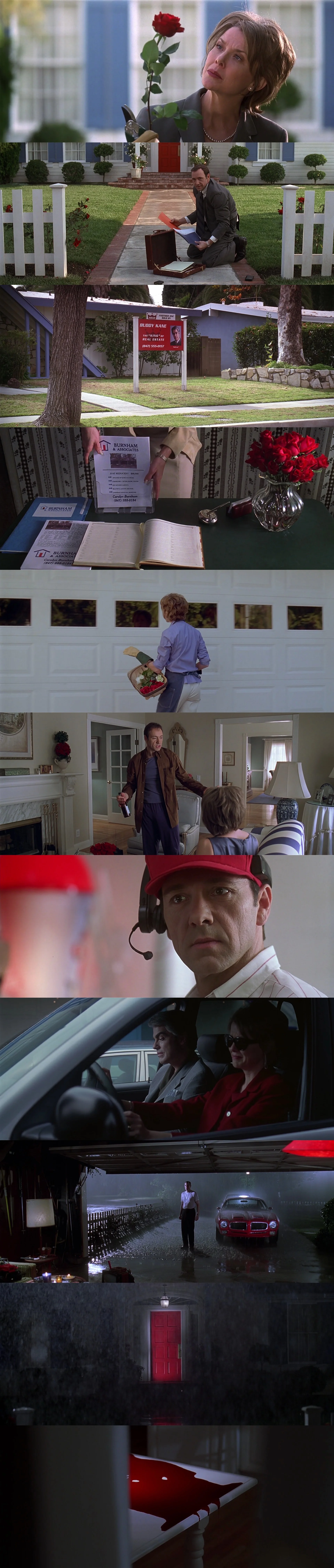 americanbeauty.jpg