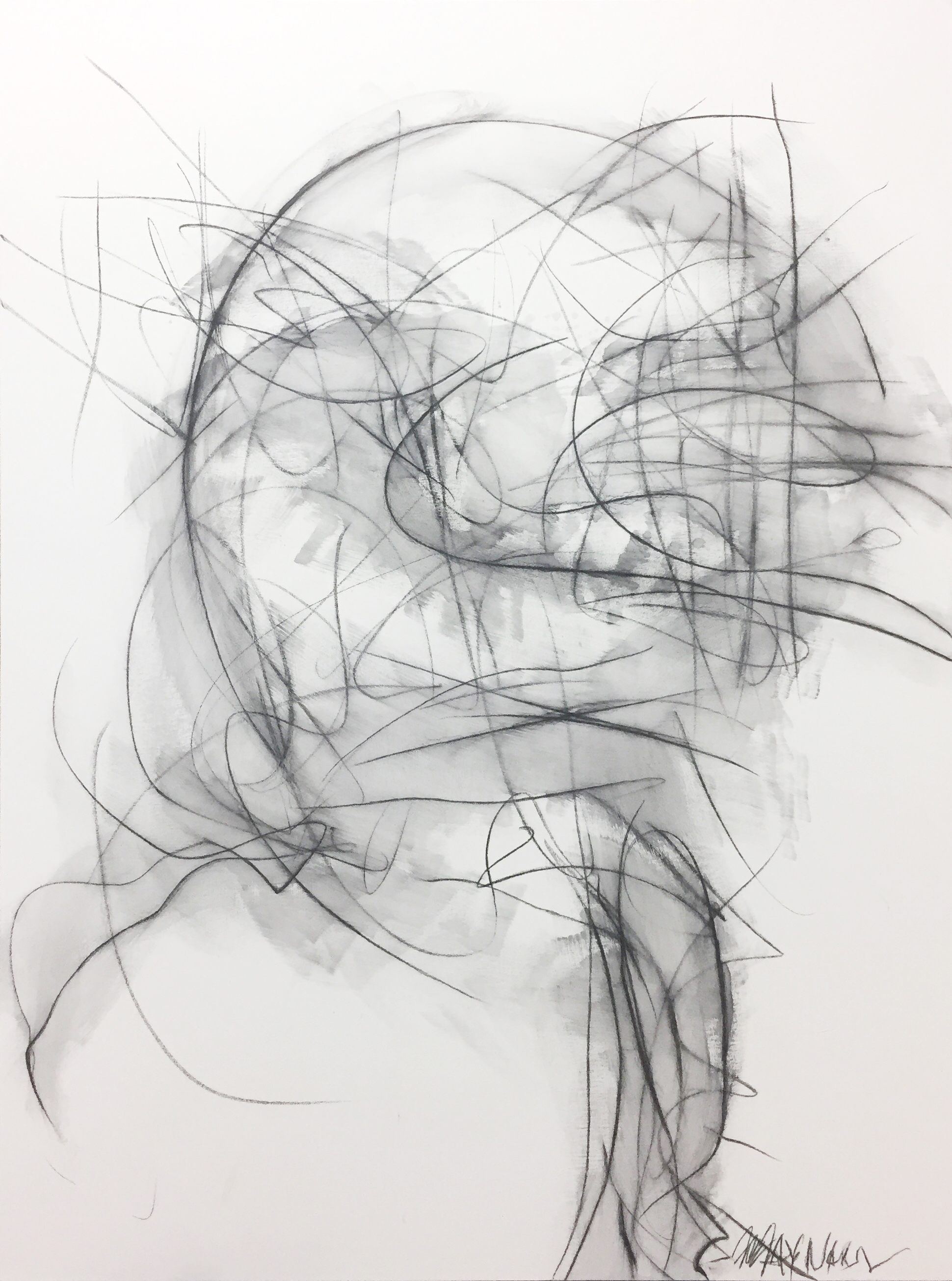 Graphite on canvas - size 122x91 cm / 4x3 feet