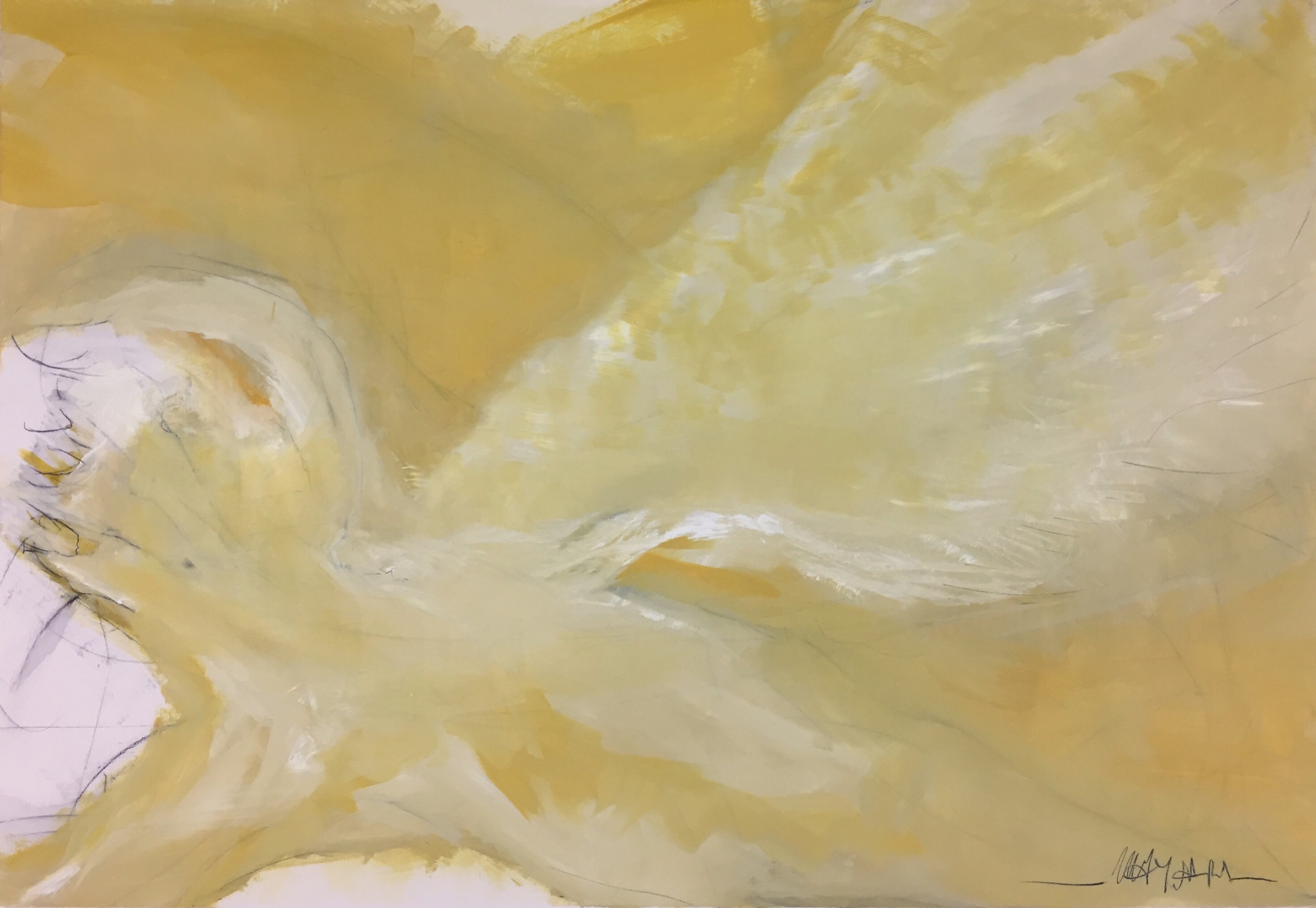 Oil and graphite on canvas - 32x48”