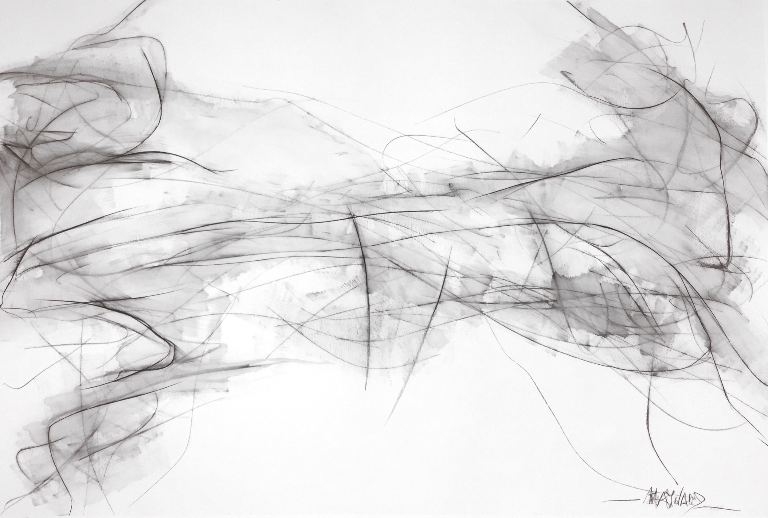 Graphite on canvas - 40x60”