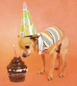 Happy-Birthday-from-Diablo.jpg