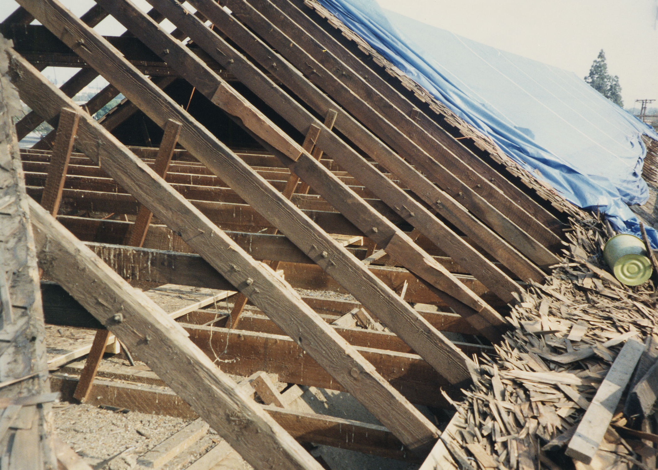 Roof structure showing old rafters from previous restoration efforts.jpg