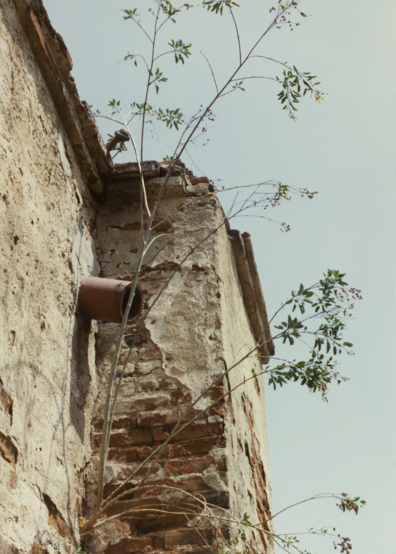 Exterior of old mission before restoration.jpg
