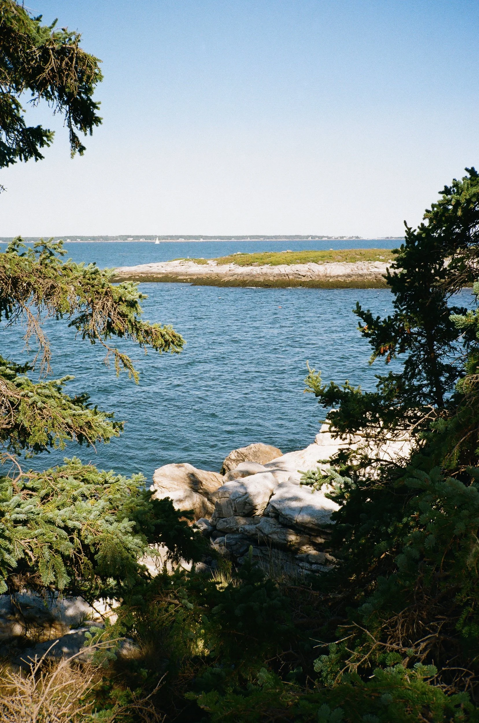 MaineWebsite-30.jpg
