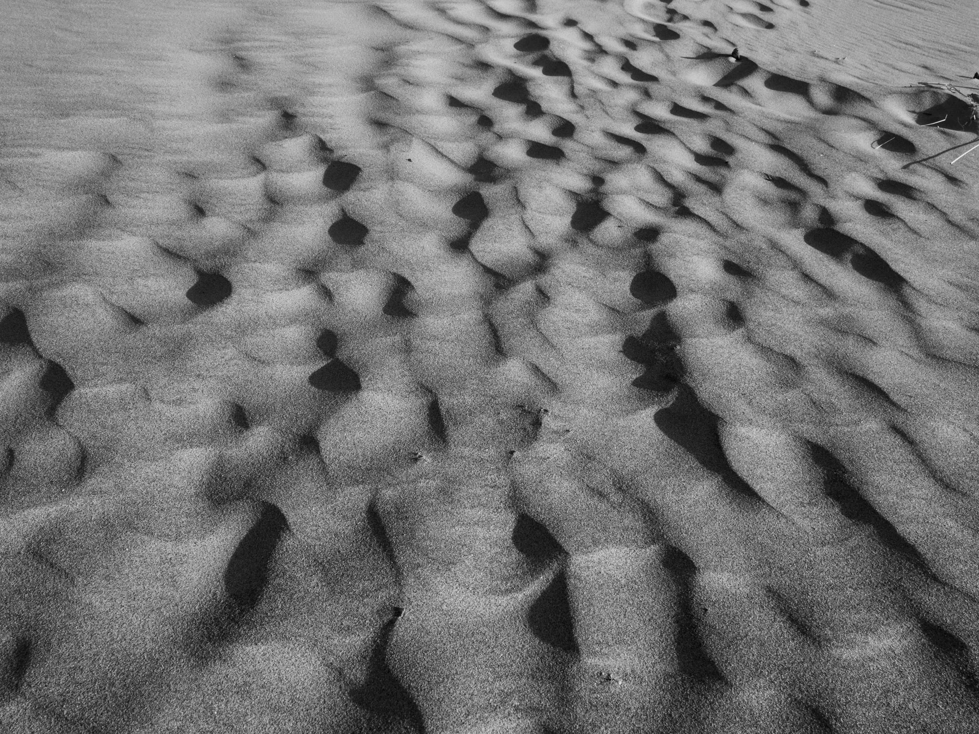 P4091154.jpg