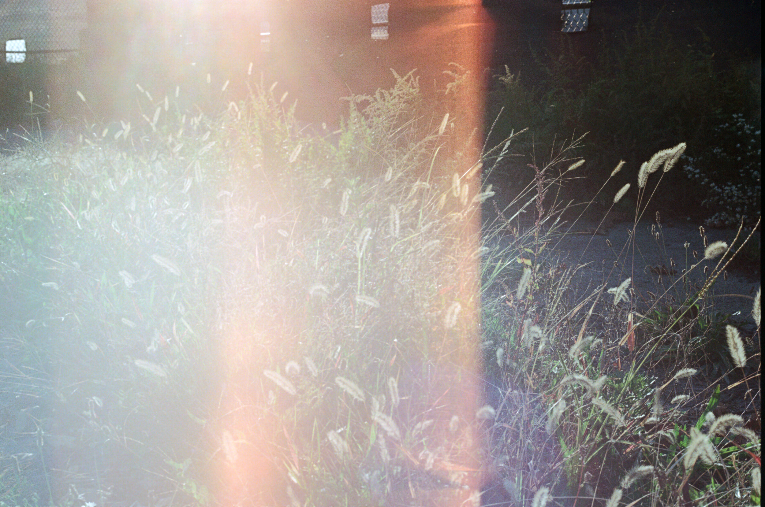 04.jpg