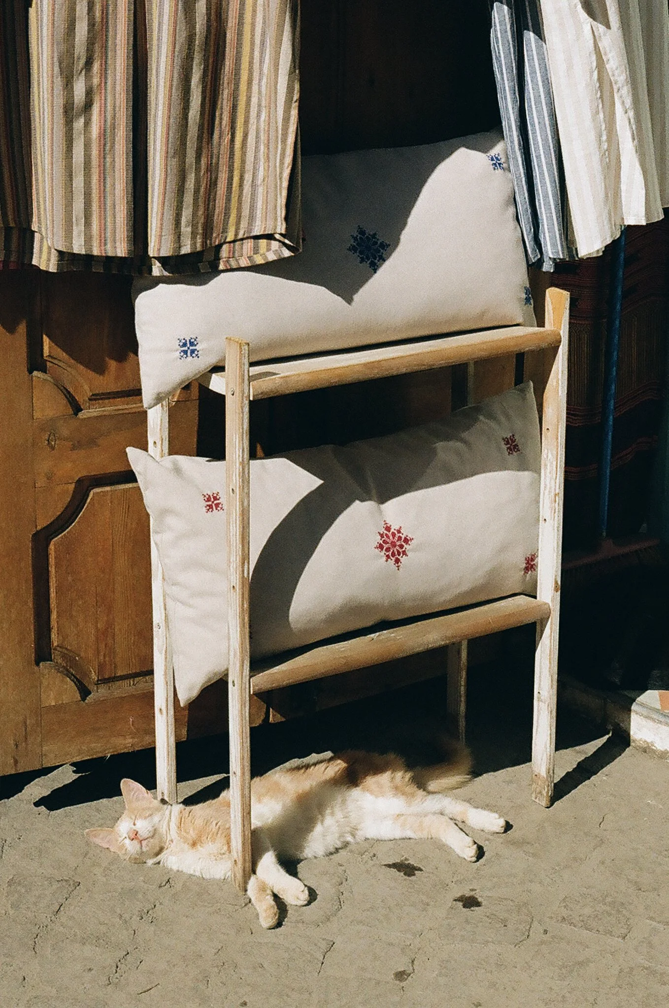 catstoprint-16.jpg