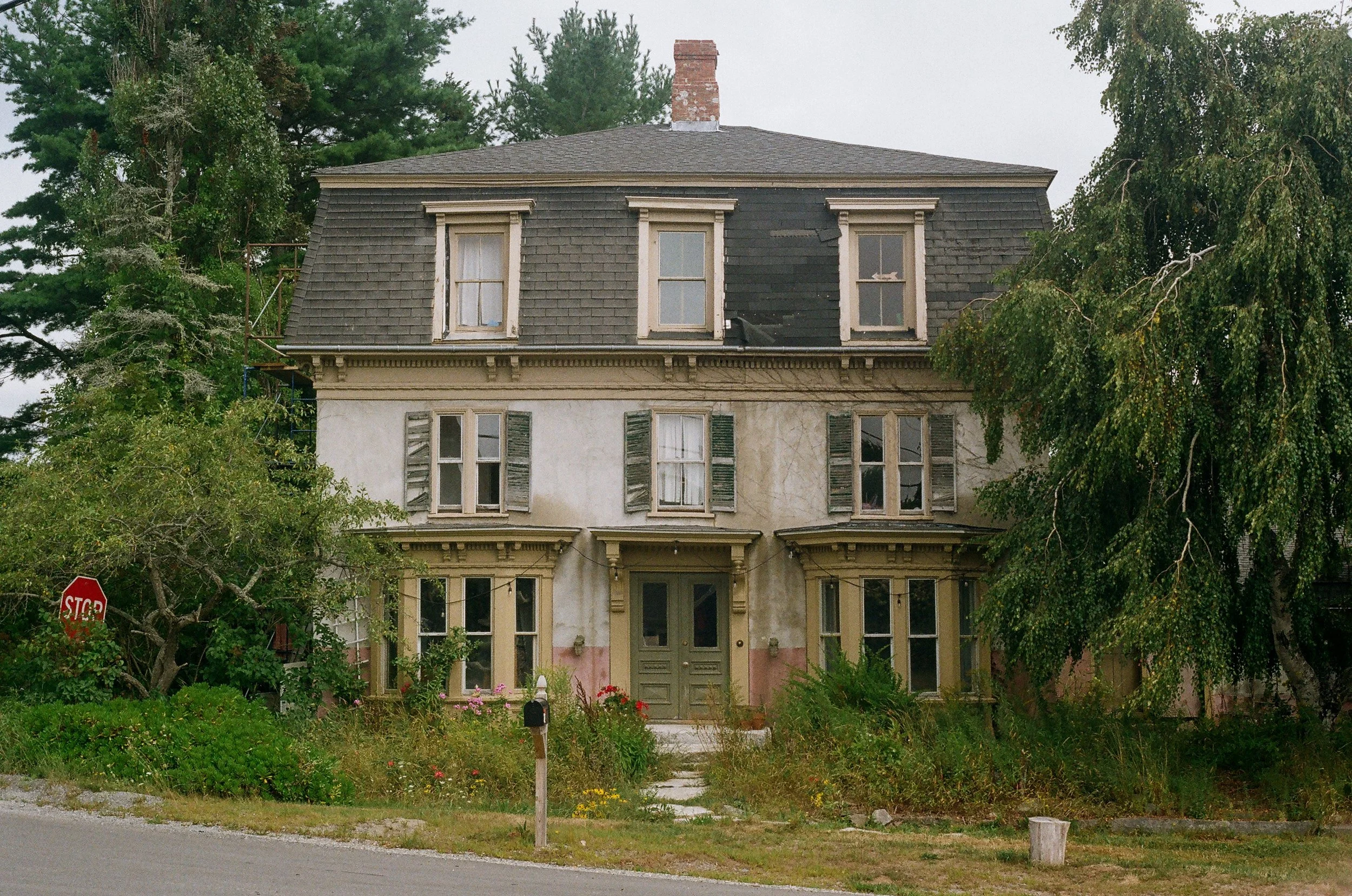 MaineWebsite-28.jpg