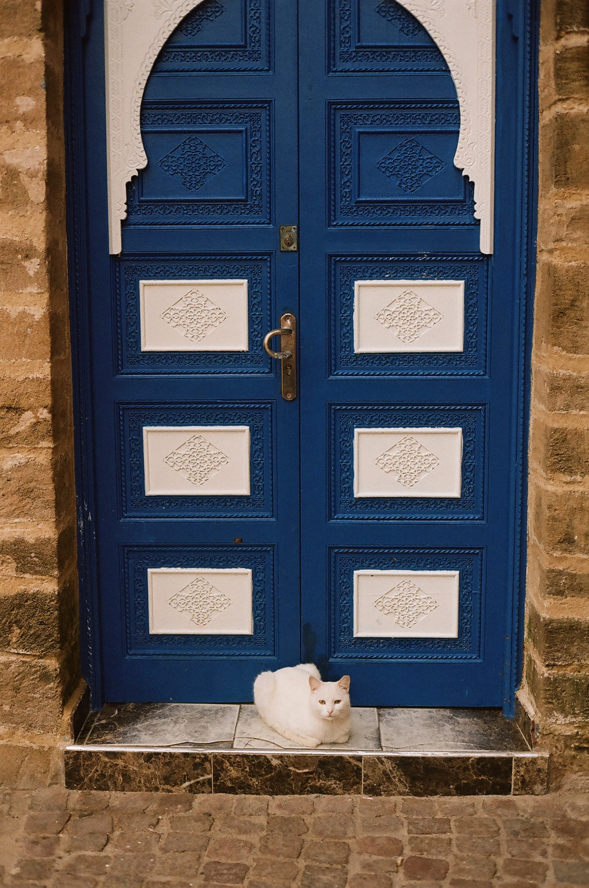 catstoprint-6.jpg