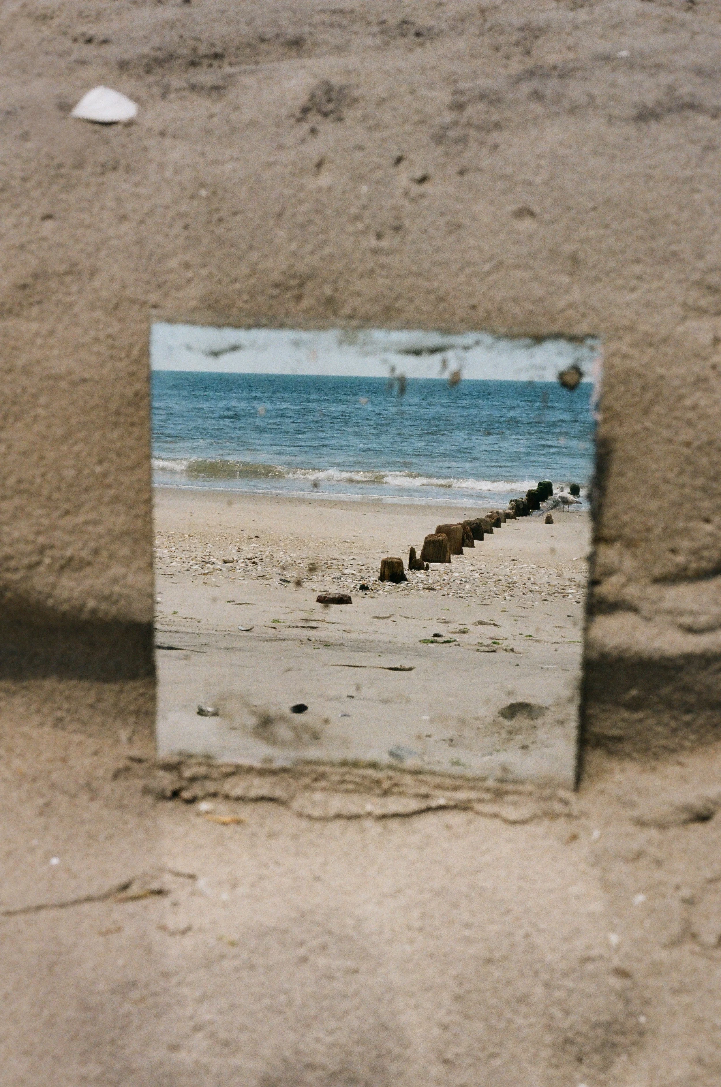 june-misc-3.jpg