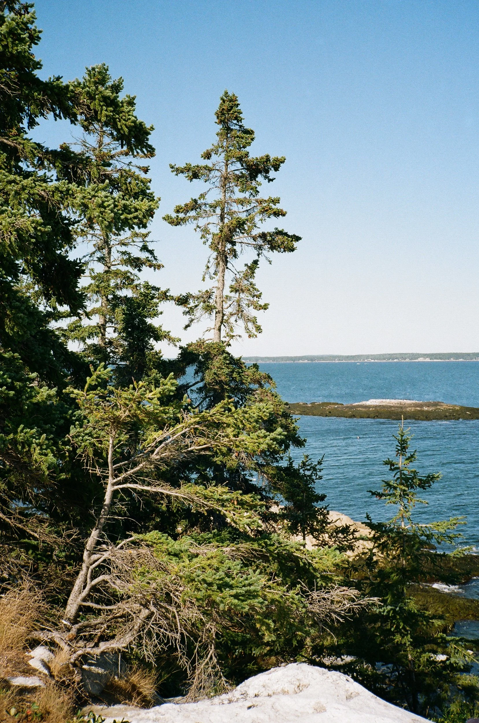 MaineWebsite-29.jpg