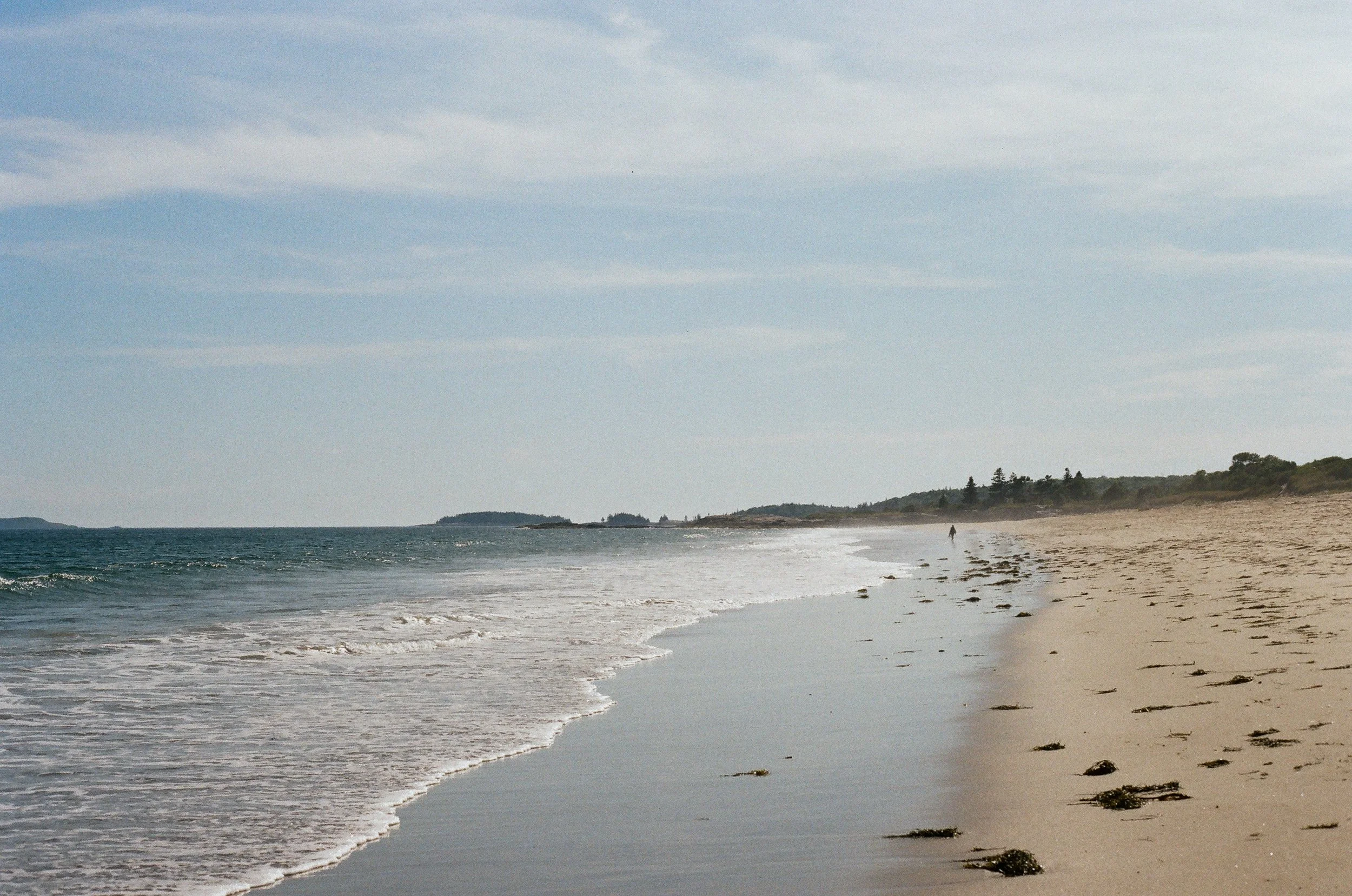 MaineWebsite-10.jpg